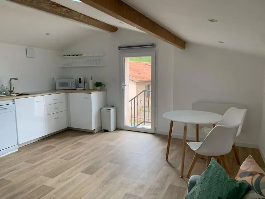 Joli Appartement - Roques Γαλλία