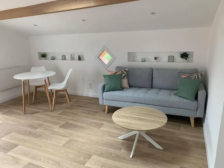 Joli Appartement - Roques Γαλλία